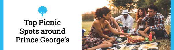 Top Picnic Spots in Prince George’s header