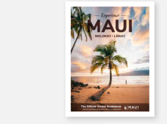 Maui Guidebook Stack