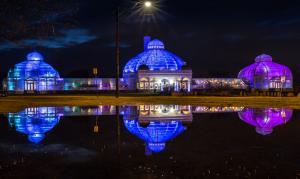Lumagination 2018 Photo by Joe Diebold