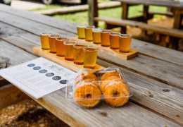 Windy Hill Orchard and Cider Mill