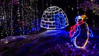 Chattanooga S New Holiday Trail Of Lights Chattanooga S New Holiday Trail Of Lights