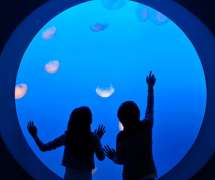 Children at aquarium