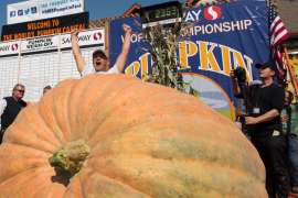 A Guide to Half Moon Bay's Art and Pumpkin Festival