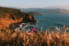 Top 5 Hiking Trails on The San Francisco Peninsula