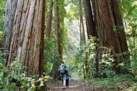 Three Ways To Celebrate Earth Day in the Bay Area