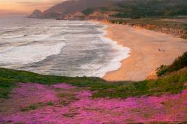 Top Beaches on The San Francisco Peninsula