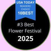 2025 Flower Festival Award