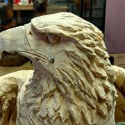 Bald eagle in Bolton