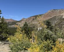 9.14.26 Tioga Pass - Emily Bryant, Mono County Tourism