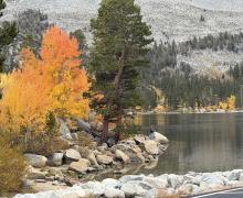 9.28.26 Rock Creek - Emily Bryant, Mono County Tourism