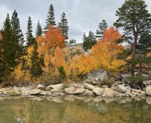 9.28.26 Rock Creek - Emily Bryant, Mono County Tourism