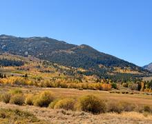 9.29.26 Dunderberg Meadow Road - Emily Bryant, Mono County Tourism