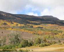 10.01.25 Upper Summer Meadows Road - Carlson, Mono County Tourism