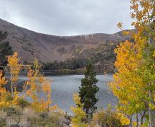 10.01.25 Virginia Lakes - Amanda Carlson, Mono County Tourism-