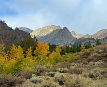 10.01.25 Virginia Lakes - Amanda Carlson, Mono County Tourism-