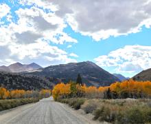 10.5.26 Green Creek -  Melinda Guerrero, Mono County