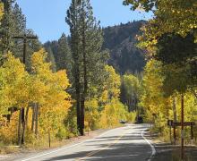 10.05.26 Silver Lake, June Lake Loop - Emily Bryant, Mono County Tourism