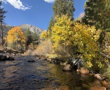 10.05.26 Lee Vining Creek - Emily Bryant, Mono County Tourism