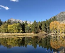 10.05.26 Lee Vining Creek - Emily Bryant, Mono County Tourism