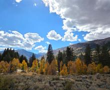 10.5.26 Twin Lakes, Bridgeport -  Melinda Guerrero, Mono County
