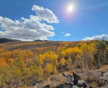 10.5.26 Lobdell -  Melinda Guerrero, Mono County
