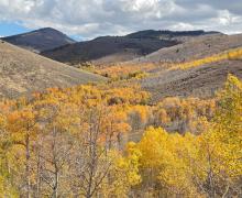 10.5.26 Lobdell -  Melinda Guerrero, Mono County