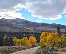 10.5.26 Summer Meadows Road -  Melinda Guerrero, Mono County