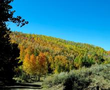10.06.25 Lobdell Road - Amanda Carlson, Mono County Tourism