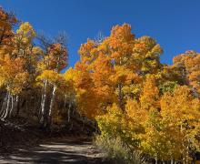 10.06.25 Lobdell Road - Amanda Carlson, Mono County Tourism