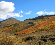 10.06.25 Lobdell Road - Amanda Carlson, Mono County Tourism