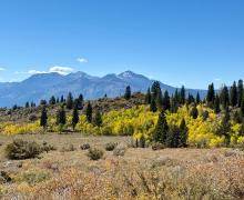 10.06.25 Monitor Pass - Amanda Carlson, Mono County Tourism