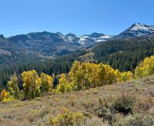 10.06.25 Sonora Pass - Amanda Carlson, Mono County Tourism
