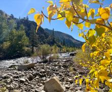 10.06.25 Walker River - Amanda Carlson, Mono County Tourism