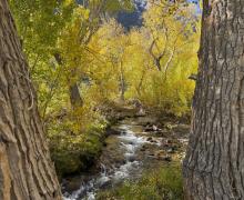 10.07.25 McGee Creek - Amanda Carlson, Mono County Tourism