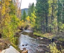 10.10.24 Lee Vining Canyon by Amanda Carlson with Mono County Tourism