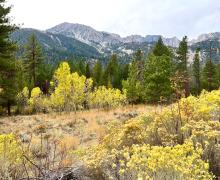 10.10.24 Lee Vining Canyon by Amanda Carlson with Mono County Tourism