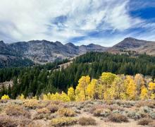10.10.24 Sonora Pass by Amanda Carlson with Mono County Tourism