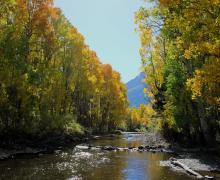 10.15.24 rush creek june lake fall colors 1