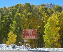 10.15.25 Lee Vining Canyon - Liz Grans, Mono County Tourism