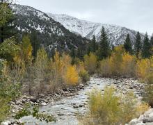 10.15.25 Walker River - Amanda Carlson, Mono County Tourism