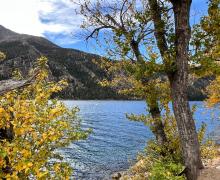 10.16.24 Twin Lakes, Bridgeport by Amanda Carlson with Mono County Tourism