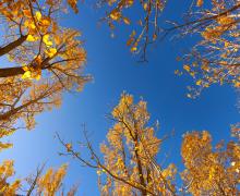 10.19.25 McGee - Dakota Snider Mono County Tourism