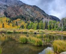 10.01.25 Lundy Reservoir Sarah Vardaro, Mono County Tourism -4