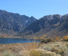 10.20.25 Grant Lake - Emily Bryant