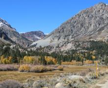 10.20.25 Lee Vining Canyon - Emily Bryant, Mono County Tourism