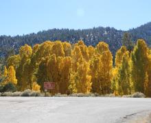 10.20.25 Lee Vining Canyon - Emily Bryant, Mono County Tourism