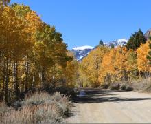 10.20.25 Lundy Canyon - Emily Bryant, Mono County Tourism