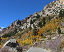 10.20.25 Lundy Canyon - Emily Bryant, Mono County Tourism