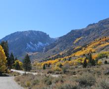 10.20.25 Silver Lake - Emily Bryant, Mono County Tourism