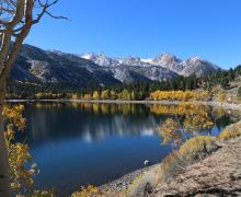 10.20.25 Twin Lakes Bridgeport - Emily Bryant, Mono County Tourism